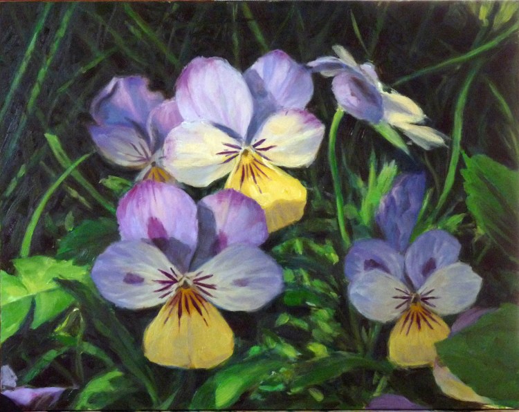 Johnny Jump-ups - 2015 - oil on masonite - 8" x 10"